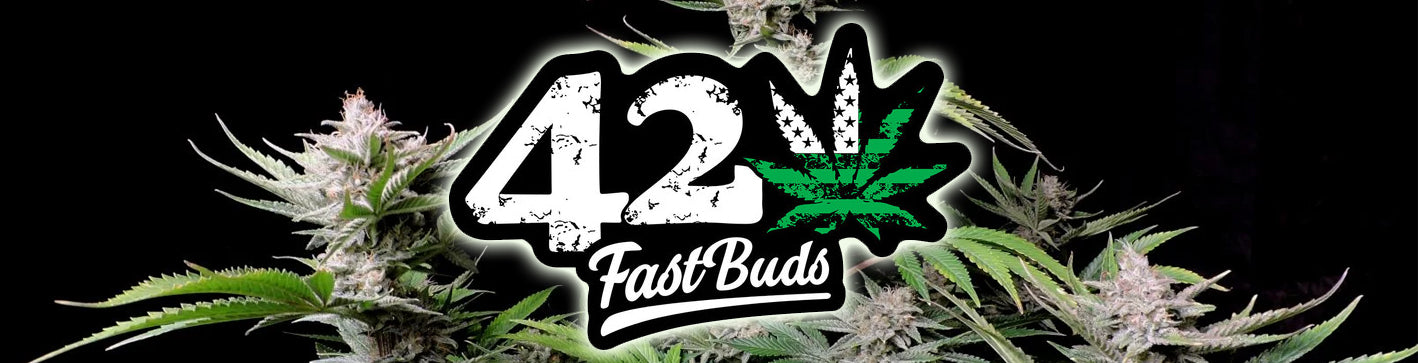 Buy Fast Buds Autoflowering Seeds