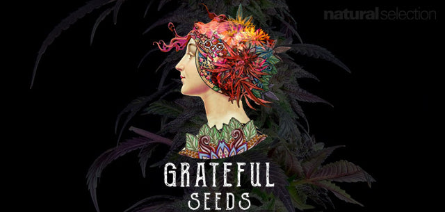 Natural Selection new seed bank - Grateful Seeds