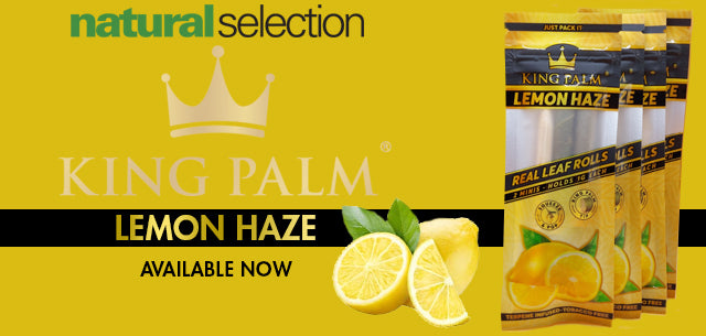 King Palm Lemon Haze