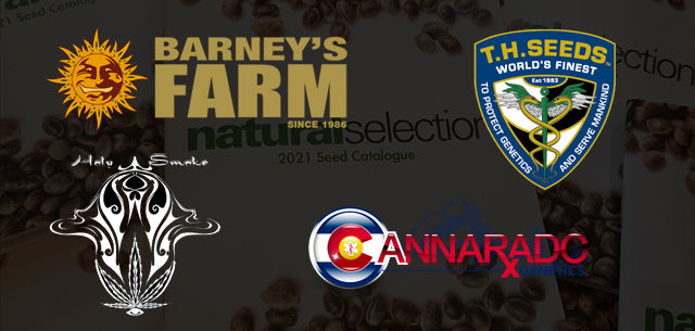 New strains from Barney's, Cannarado, Holy Smoke and T.H. Seeds