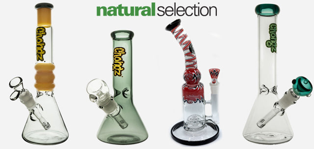 New bongs Natural Selection Leeds