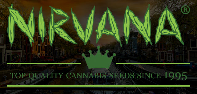 Nirvana cannabis seeds in stock now - Natural Selection Leeds