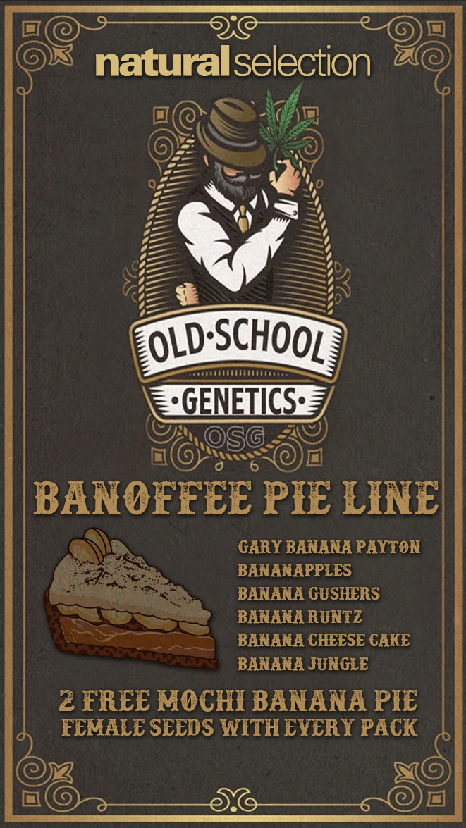 Old School Genetics Banoffee Pie Line