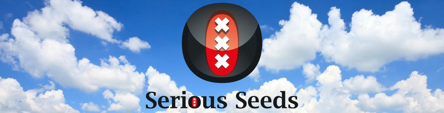 Buy Serious Seeds female cannabis Natural Selection