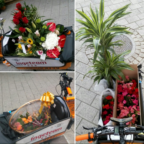 Urban ciclo RIFYL