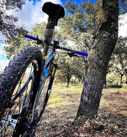 Los puños de la bicicleta, tipos, importancia, cómo sustituirlos por unos  nuevos, cómo quitarlos cuando se atascan