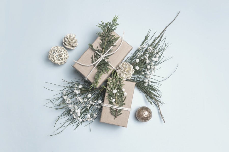 What's the perfect eco-friendly gift guide? Look no further. These products will help the environment and save you trips to the store during a pandemic.
