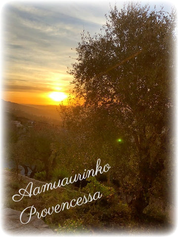 Aamu Provencessa oliivitarhassa