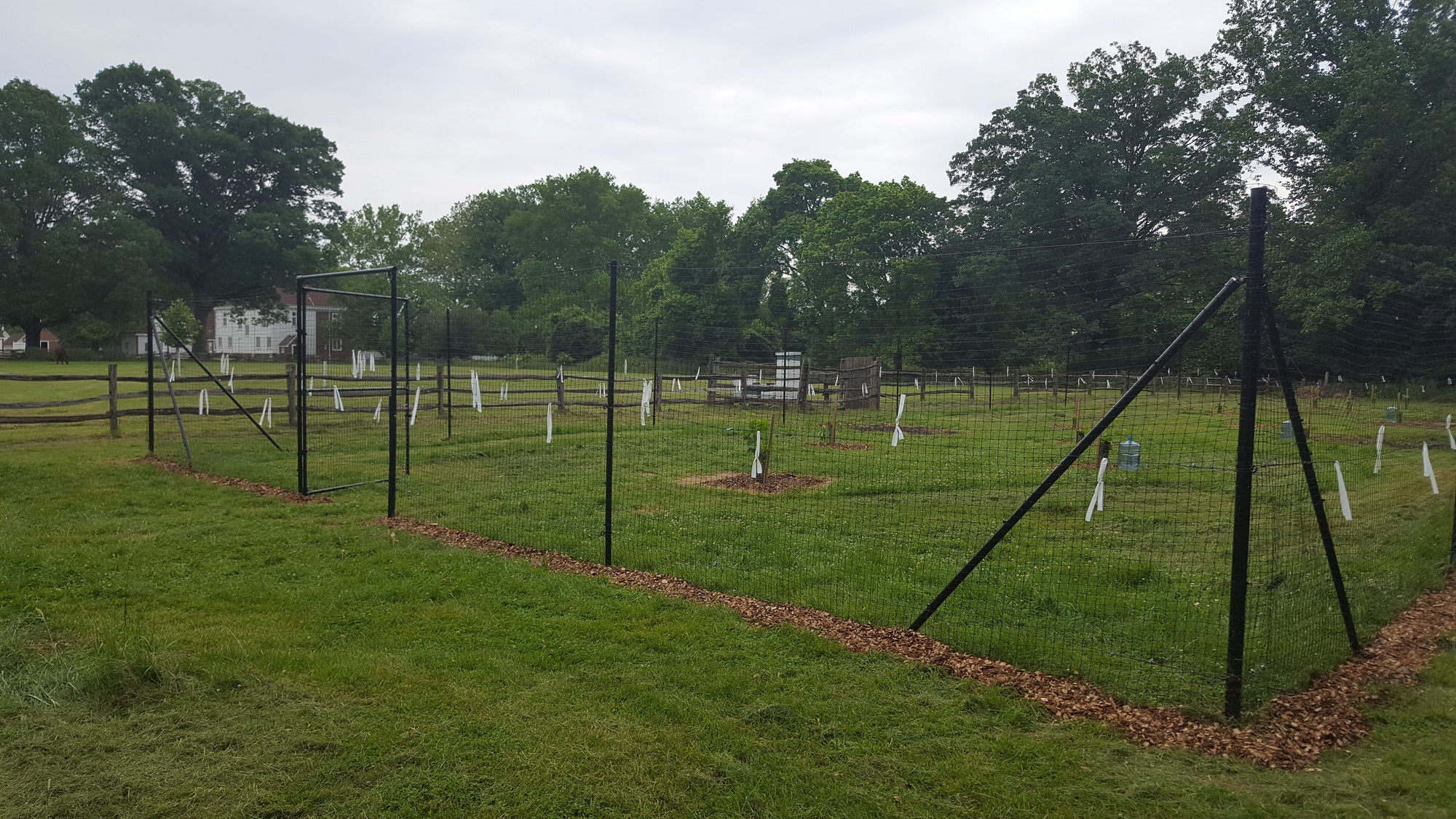 Deerfence Com Fence For Deer Management Deerfence