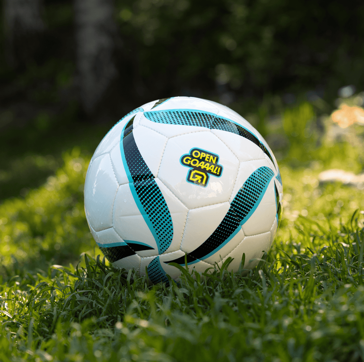 Soccer Ball