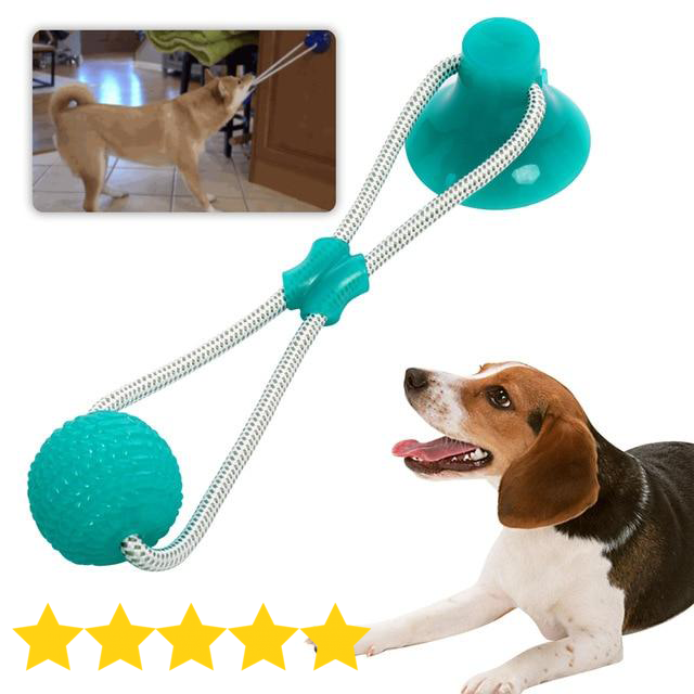 dog toy that suctions to floor