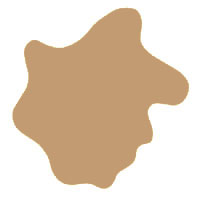 Dark Brown Earwax - Dog Ear wax Color Chart