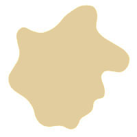 Light Brown Earwax - Dog Ear wax Color Chart