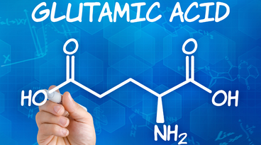 6 Benefits of Glutamic Acid