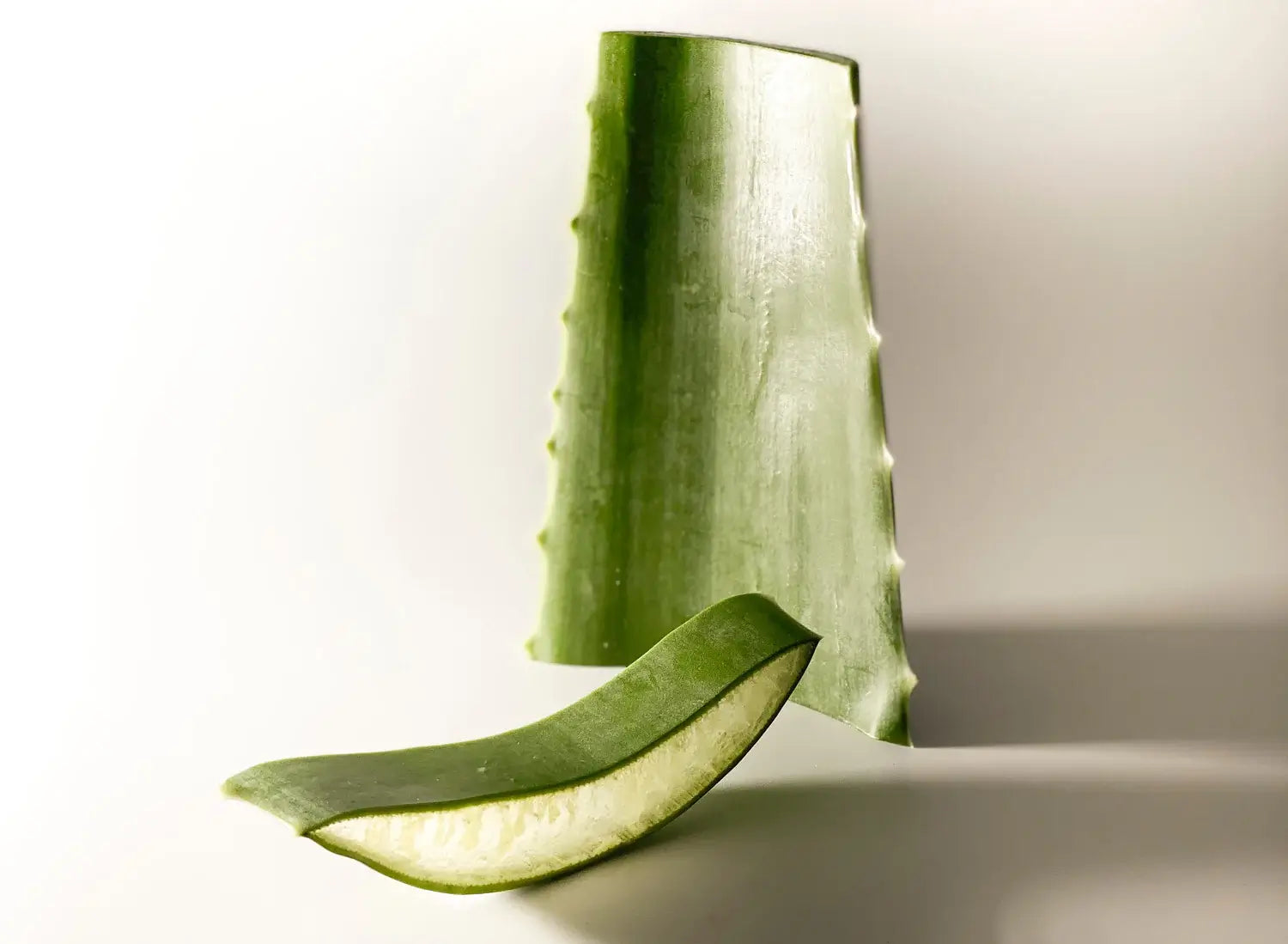 What are the main health benefits of aloe vera?