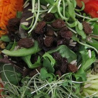 Mary Luciano - Spirulina Salad photo 3_Pic