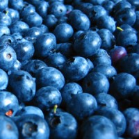 blue_food_for_calm_image