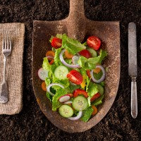 clean_eating_healthy_salad-colorful_veggies_shovel_soil_dirt_garden_organic_local_pic