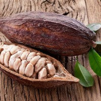 cocoa_cacao_bean_pod_pic