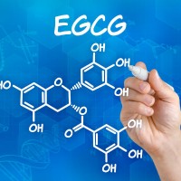 egcg_blue_diagram_pic