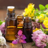 essential_oils_flowers_healthy_pretty_colorful_white_yellow_pink_sml_pic