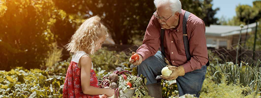 Grandparent and Grand Daughter at Allotment