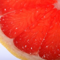 grapefruit_slice_pic