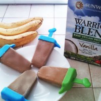 horchata_cinnamon_swirl_ice_cream_vegan_sunwarrior_banana_protein_pic