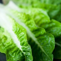 leafy_greens_lettuce_leaf_healthy_nutrients_manganese_pic