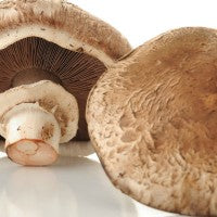 portobella_mushroom_pic
