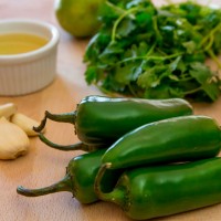 salsa_recipe_ingredients_olive_oil_jalapeno_garlic_cilantro_lime_pic