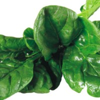 spinach_for_heart_health_pic