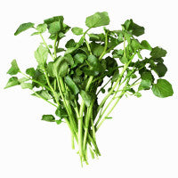 watercress_a_boquet_of_protection_image