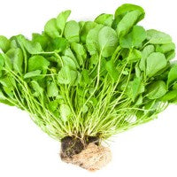 watercress_greens_healthy_vegetable_pic