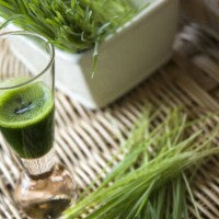 wheat_grass_wheatgrass_juice_green_healthy_pic