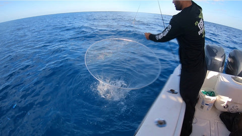 What is a BallyHop Hoop Net and How To Use It To Catch Live Bait