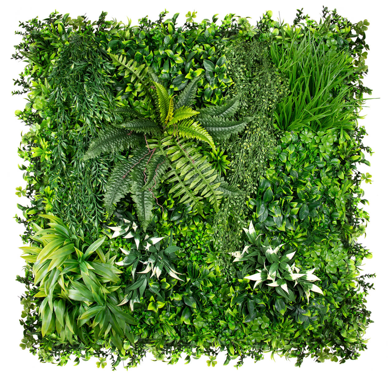 Country Garden - Evergreen Walls product image