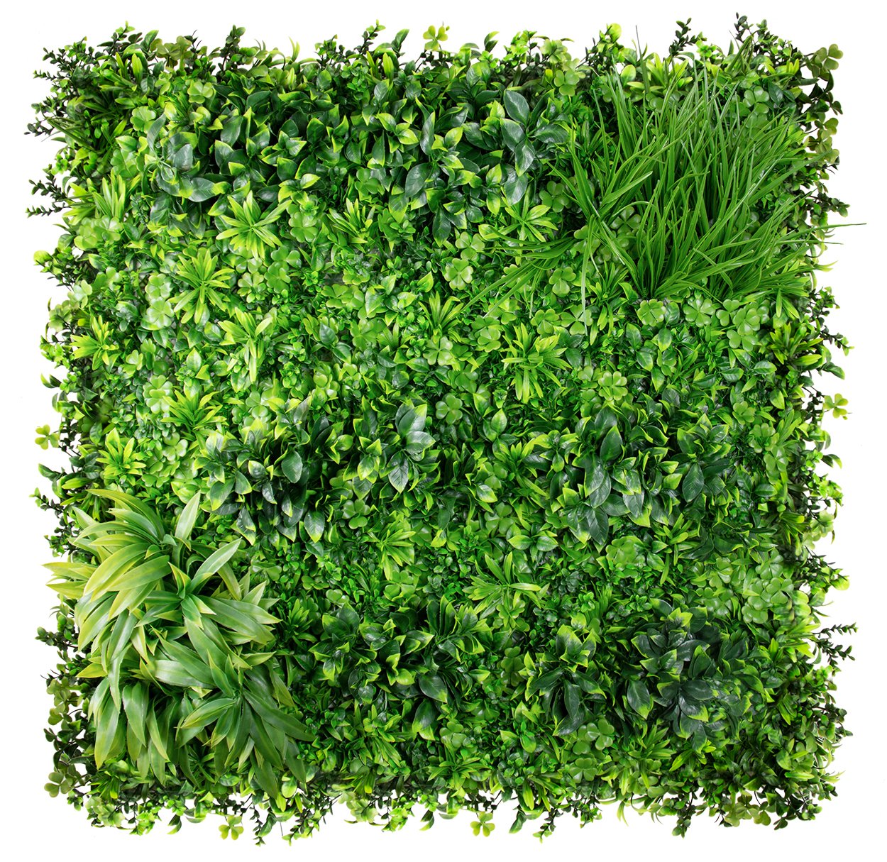 Evergreen Country - Evergreen Walls product image