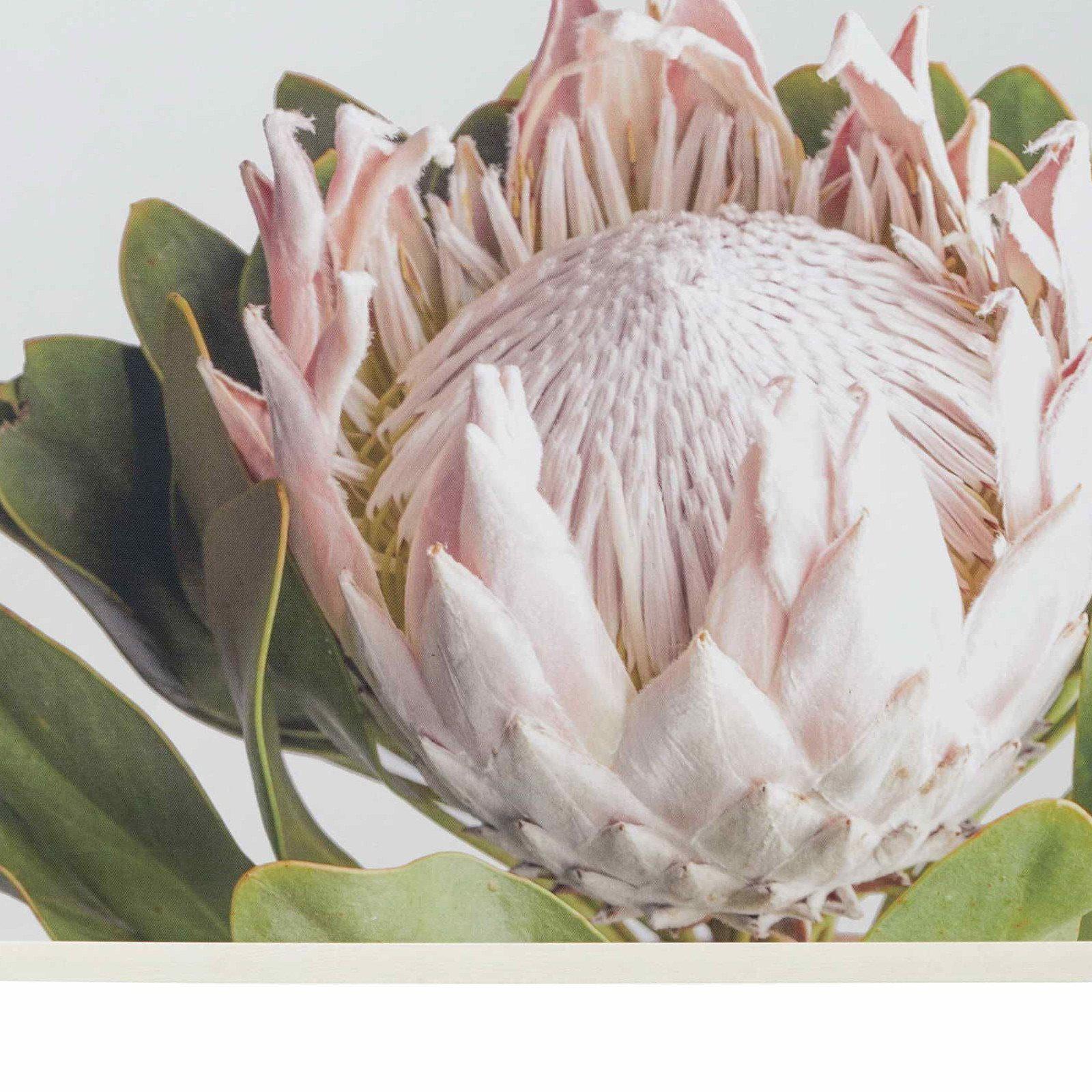 Proteas Flower Wall Decor Wall Art With Frame | Chef's Quality Cookware ...