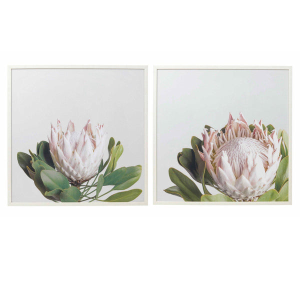 Proteas Flower Wall Decor Wall Art With Frame | Chef's ...