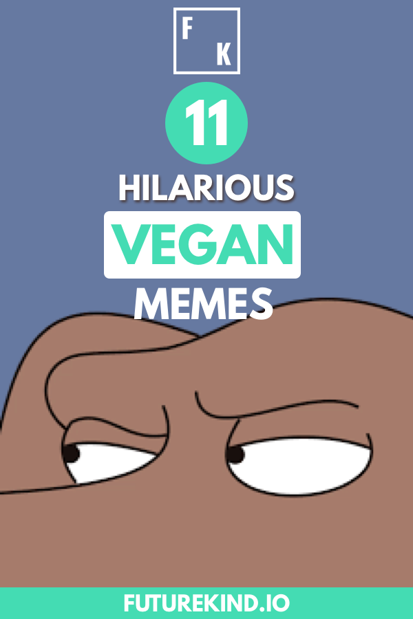 Vegan memes can lighten the mood, get a point across and entertain all at the same time. For vegan recipes, it can provide comic relief. For vegans in general, and even for vegan celebrities, it can help to repin important issues. Whether your love vegan health, the environment or others vegan lifestyle choices, sharing a funny vegan environment meme can lift the mood. #vegan #veganism #memes #veganmeme #meme #funnymeme