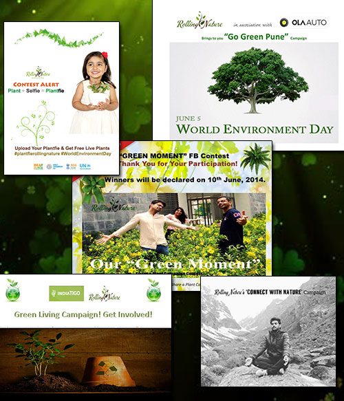 Day, World, Environment, Campaign, Rolling Nature, Initiative, Earth, Plants, Pune, India, Earth, Vandana, Chaudhary, Sajin, Kumar, Tata, Free, Plant Drive, Contest, Breathe, Fresh, Indoors, Indoor, House, Gifting, Action