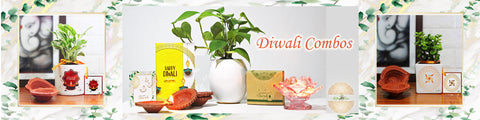 Diwali, Gifts, Online, Plants, India, Customized, Combos, Good, Luck, Live, Indoor, Houseplants, Gifting, Green, Rolling, Nature, Air, Purifying, Fresh, Ceramic, Pots, Corporate, Brand, Company, Eco-friendly