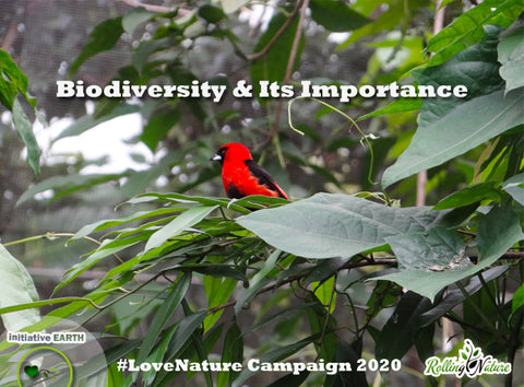 Biodiversity, Love, Nature, Campaign, 2020, Rolling, Initiative, Earth, Environment, Day, Plants, #LoveNature, Importance, Covid, Corona