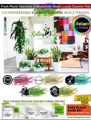 Rolling Nature, Green Decor, India, Pots, Ceramic, Indoor Plants