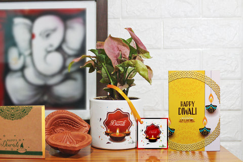 Diwali, Gift, Plants, Green, Rolling, Nature, RollingNature, Combos, Greeting, Card, Set, India, Indoor, House, Good Luck, Air Purifying, Diya, Happy, Deepawali, Online, Shop, Customized, Branding, Ceramic Pot, Box, Corporate, Bulk, Occasion