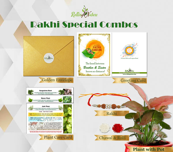 Rakhi, Plants, Roli, Chawal, Gift, Brother, Sister, Bhaiya, Behan, Rakhshabandhan, Golden, Greeting Card, Rolling, Nature, Lucky