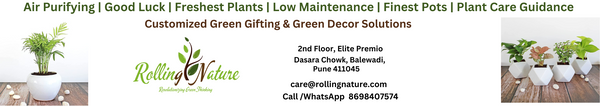 Rolling Nature, Campaign, Plastic Pollution, Vandana Chaudhary, Sajin Kumar, Plants, India, Pune