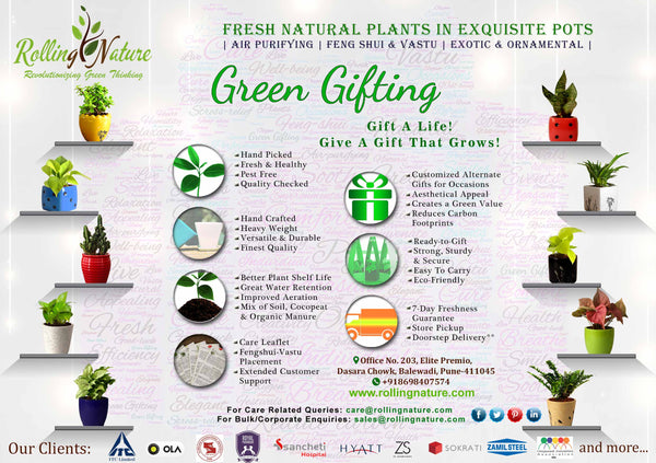 Customized, Green Gifting, Rolling Nature, India, Company