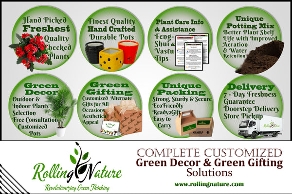 Rolling Nature, Gifting, corporate, gift, plants, plant, indoor, India, customized, office, gifts, company, branding, logo, print, printing, cards